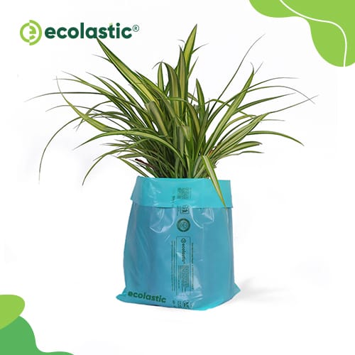 Palaash Eco Solutions 100% Compostable Plant Grow Bags - 6 x 12 inches - 80 pcs/kg I Green colour